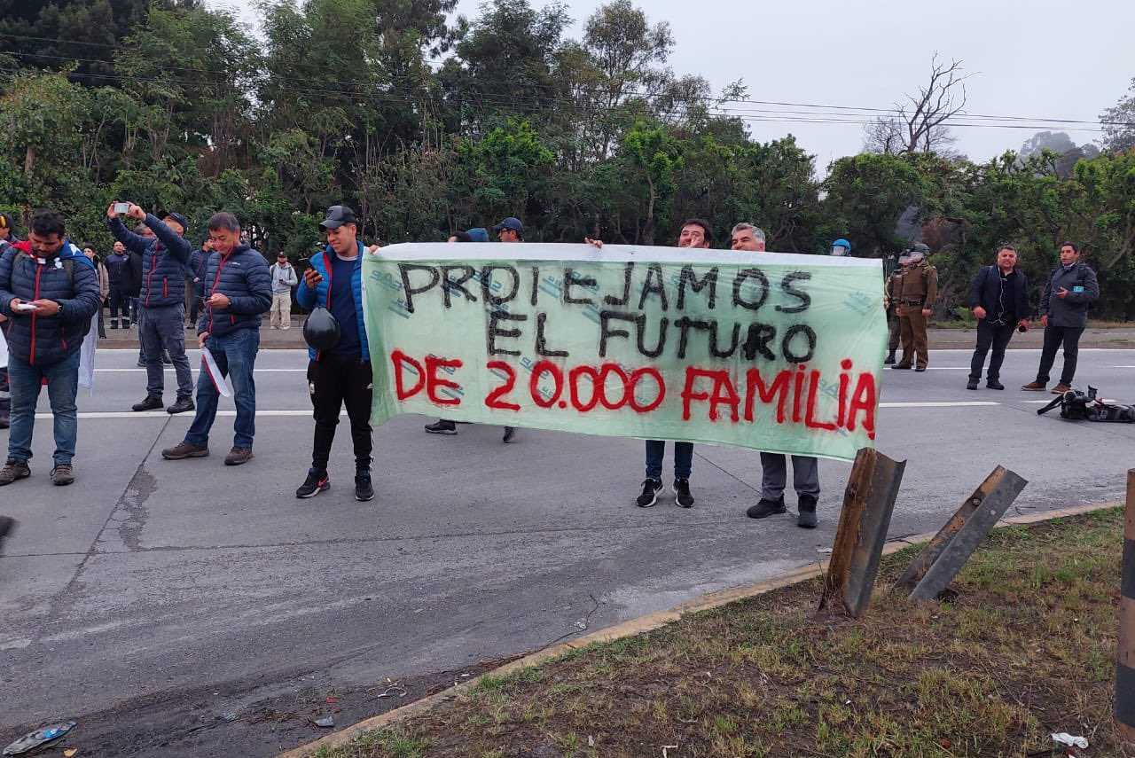 manifestación huachipato