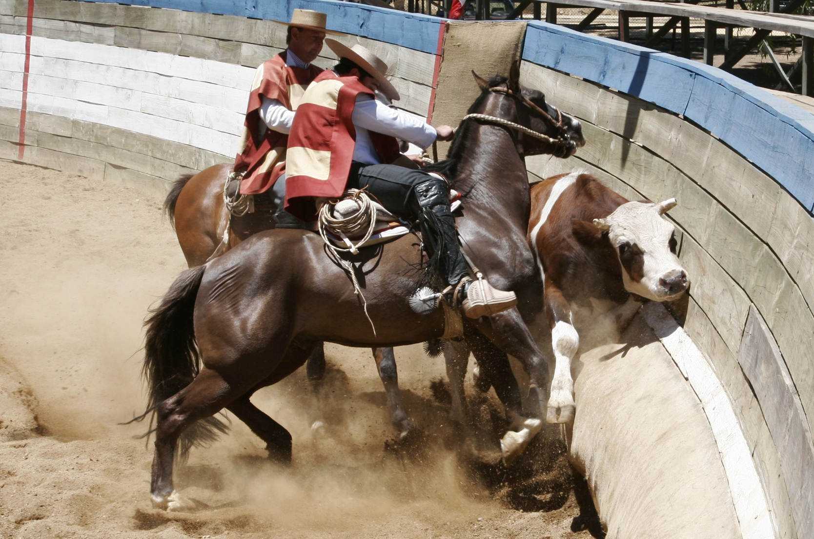 rodeo
