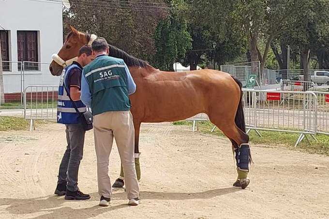 sag-club hipico