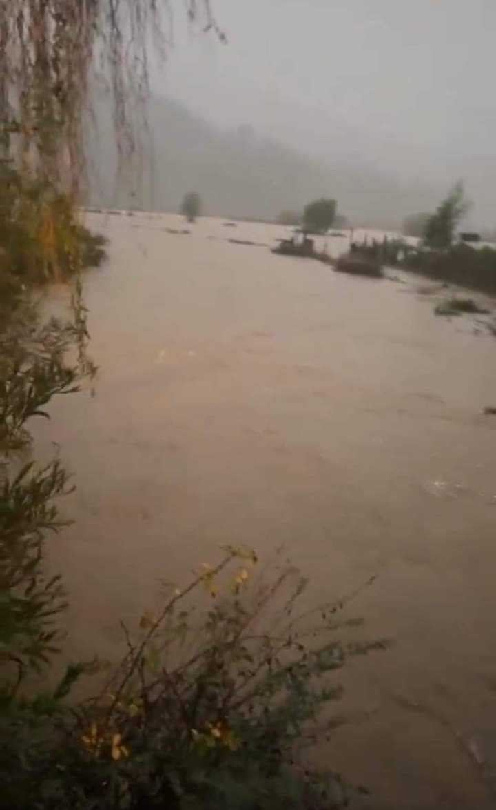 Río Pichilo