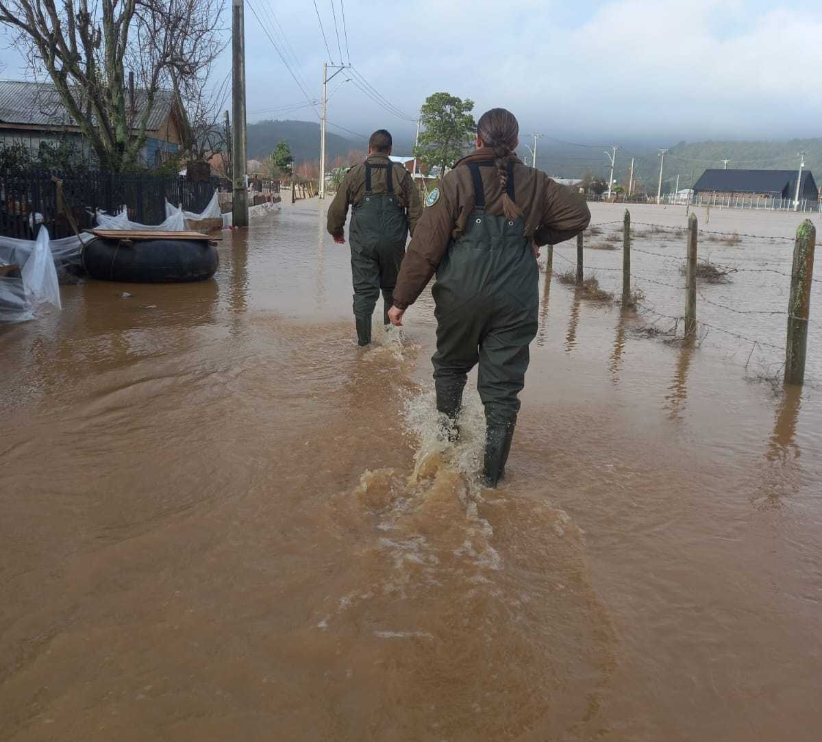 carabineros biobío