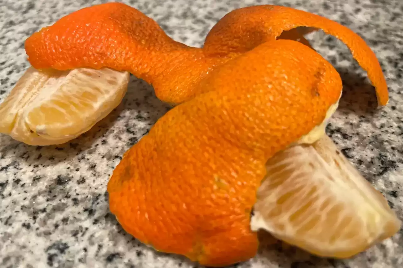 cascaranaranja