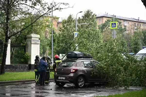 mosculuvias