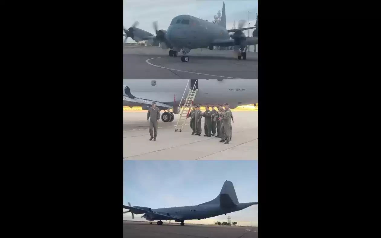 p3argie