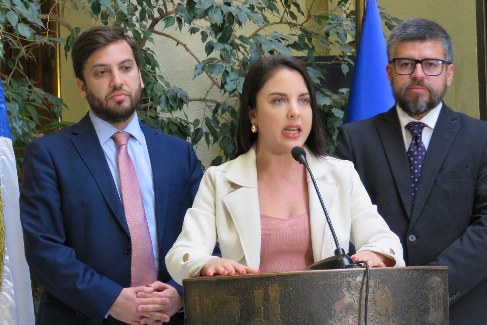Diputados PPD