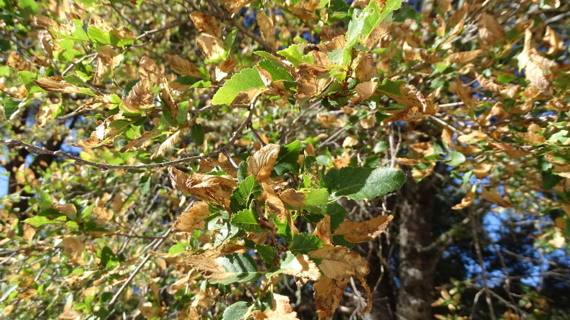 DSC01419