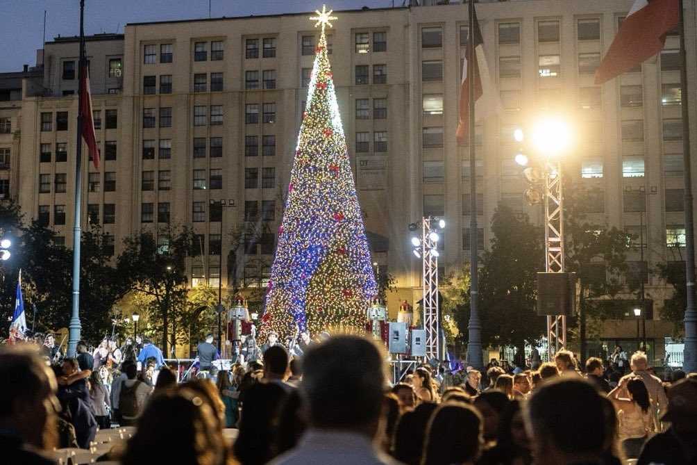 arbol palacio24