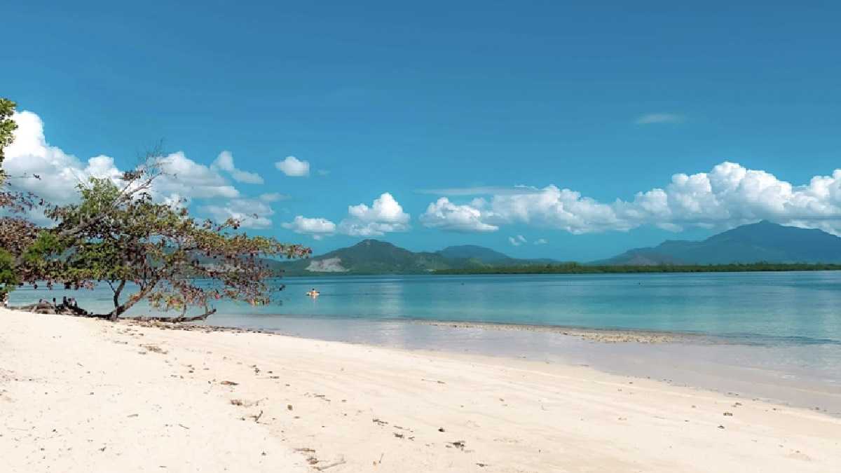 https://www.pexels.com/es-es/foto/mar-naturaleza-playa-oceano-12487042/
