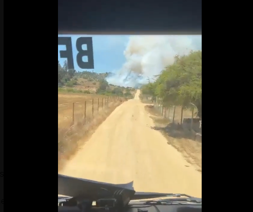 pumanque-incendio