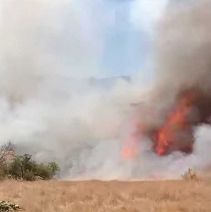 incendio rauco