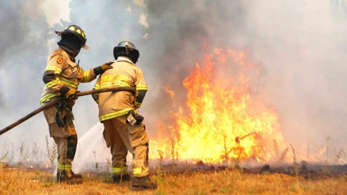 Incendios La Araucania febrero 2025