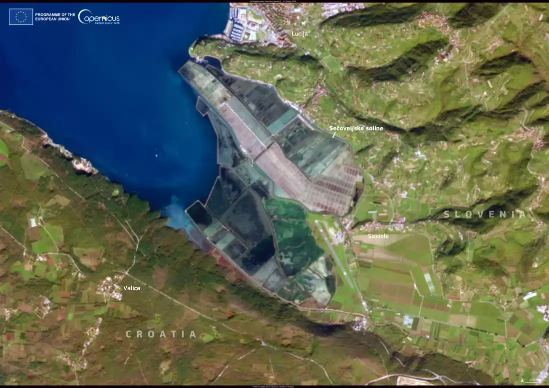 humedal eslovenia