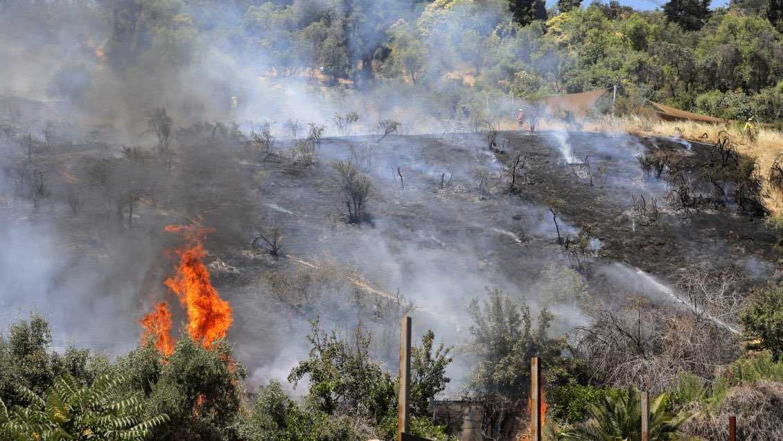 incendio-mulchen