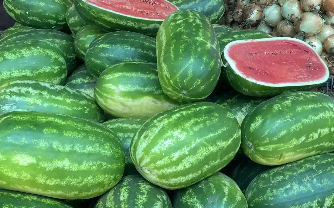 SANDIAs