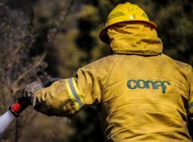 conaf