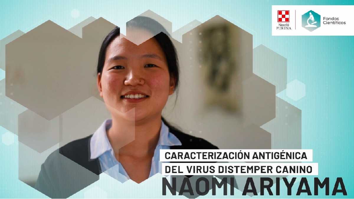 infogate post-46