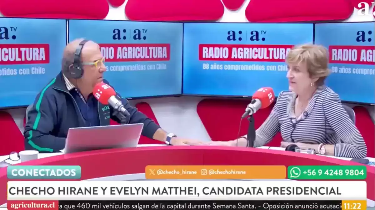 matthei y chceo