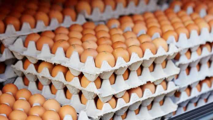 Produccion-de-huevos-de-consumo-presento-un-crecimiento-interanual-de-67-en-diciembre-de-2023-696x392