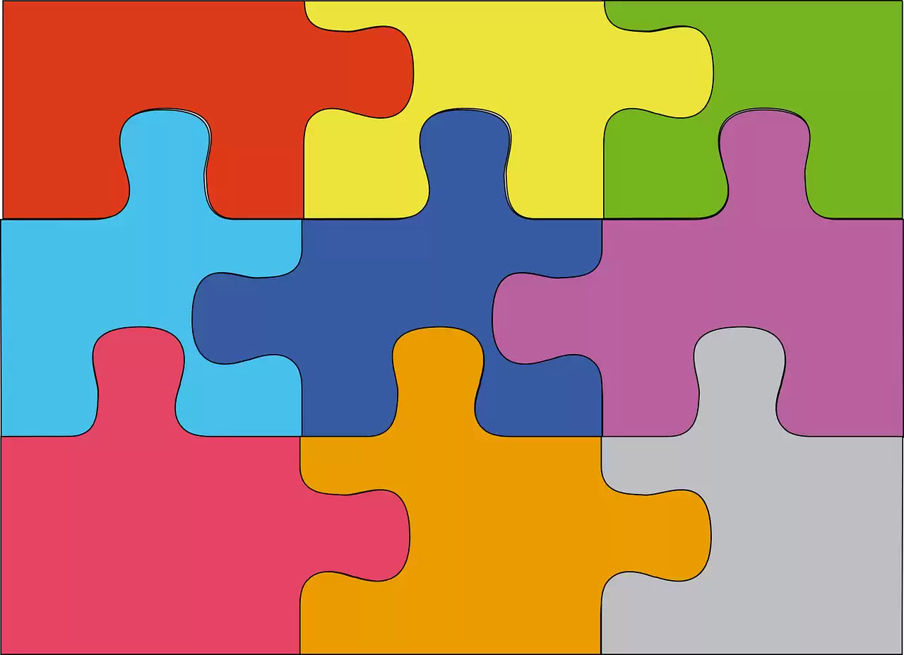 puzzleunuidad