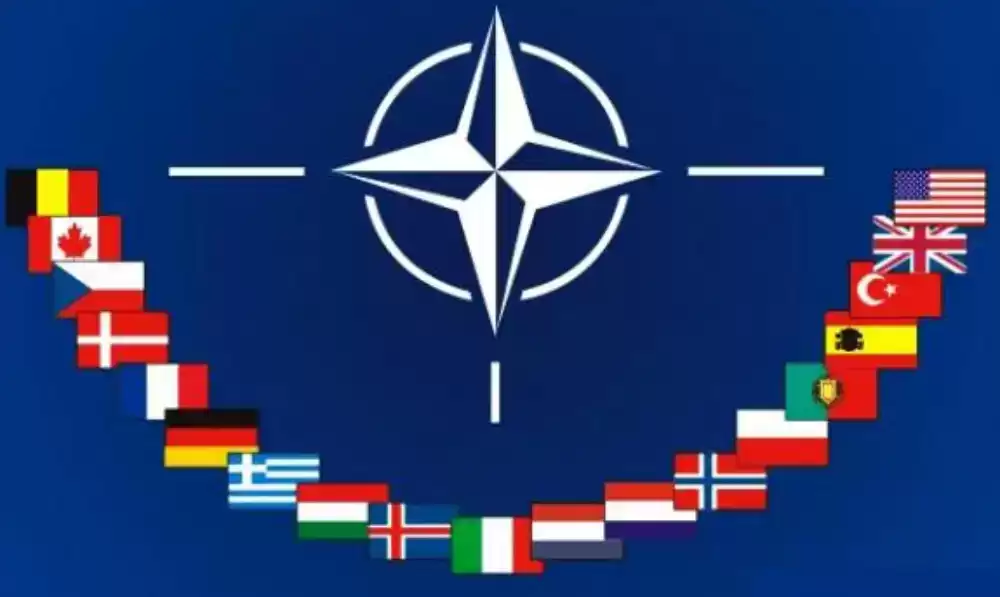 otan (1)