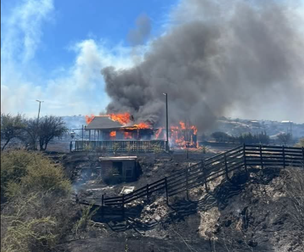 incendio litueche