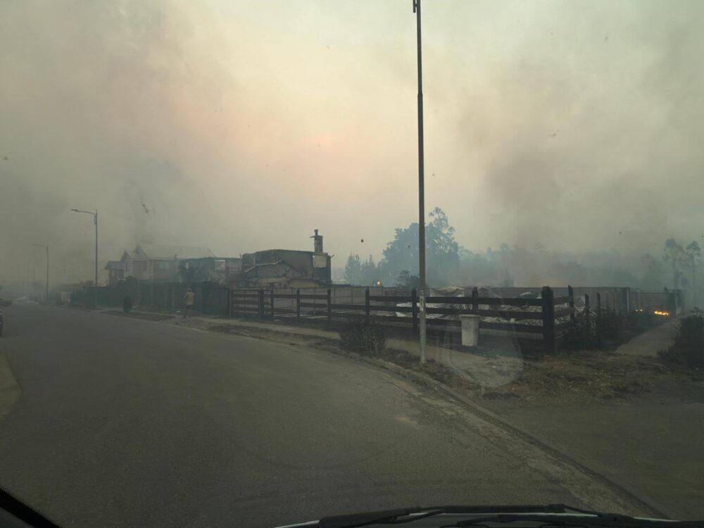 punta parra 183n3o