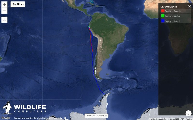 mapa ruta Tuta