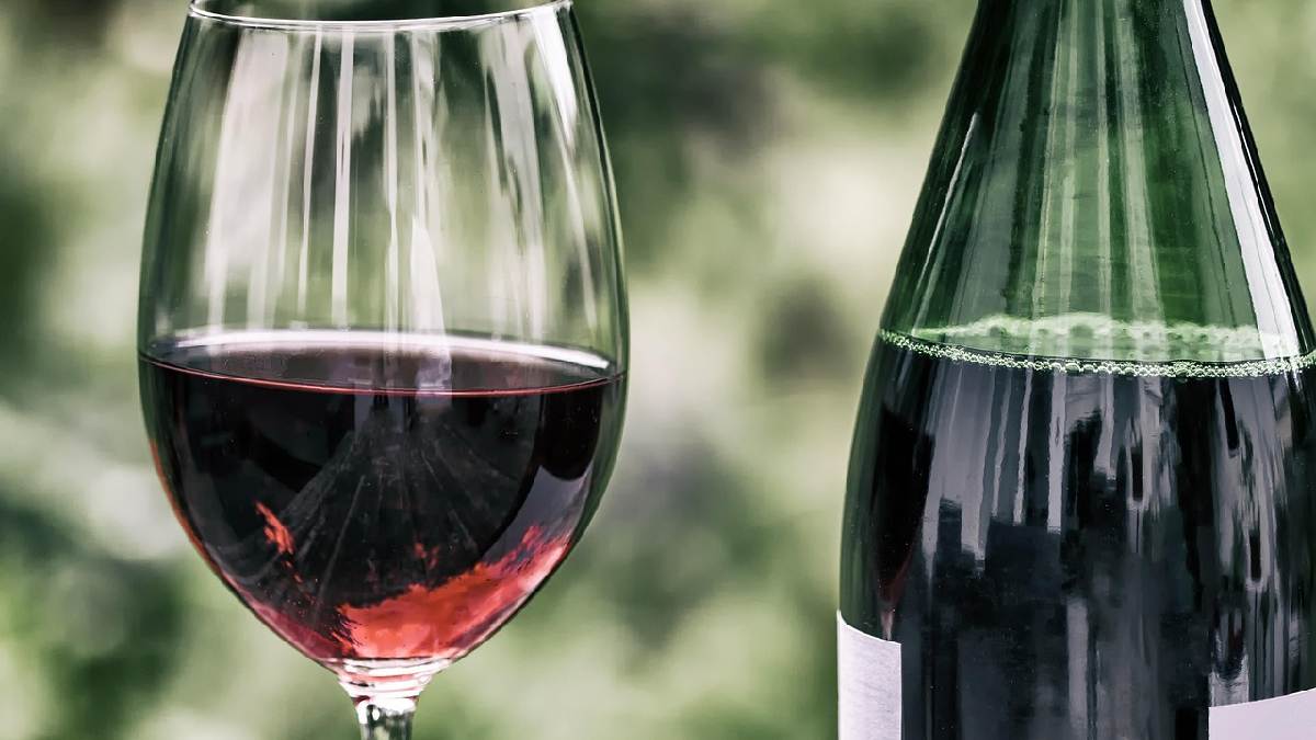 El vino inicia su temporada de eventos en la región: Vendimia Fest 2026 llega al corazón de Providencia