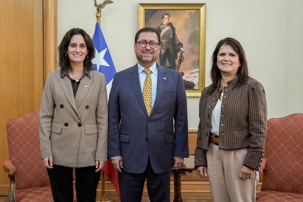 Desarrollo Social y Cancillería impulsan candidatura de profesora Carmen Domínguez al Comité de los Derechos del Niño de la ONU