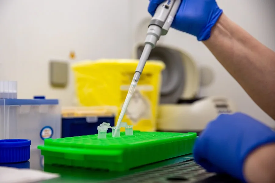 Hantavirus: la OMS eleva a 6 los casos confirmados tras el positivo de un contagio sospechoso