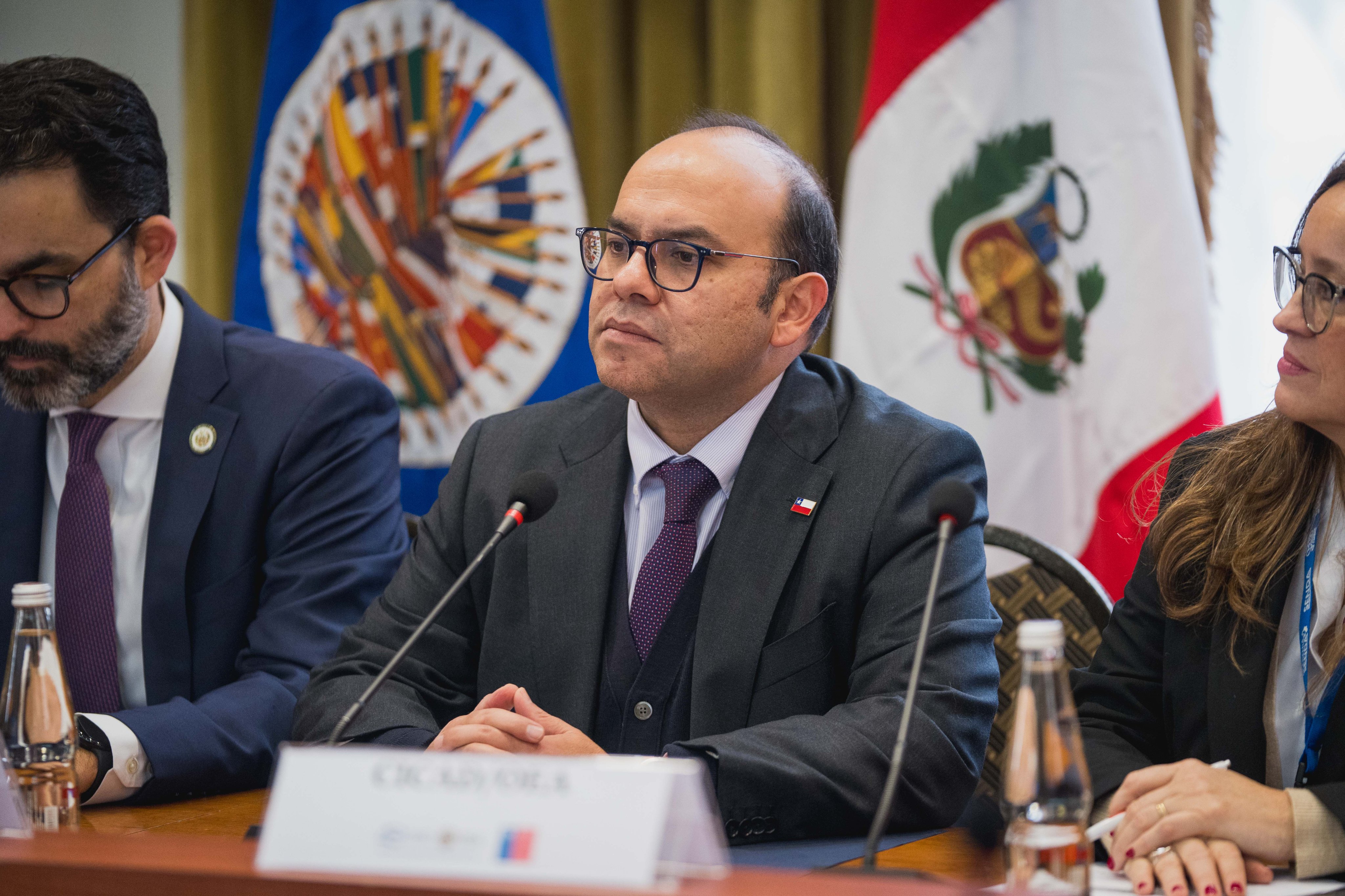 Pavez descarta que indicación obligue a “denunciar” a migrantes