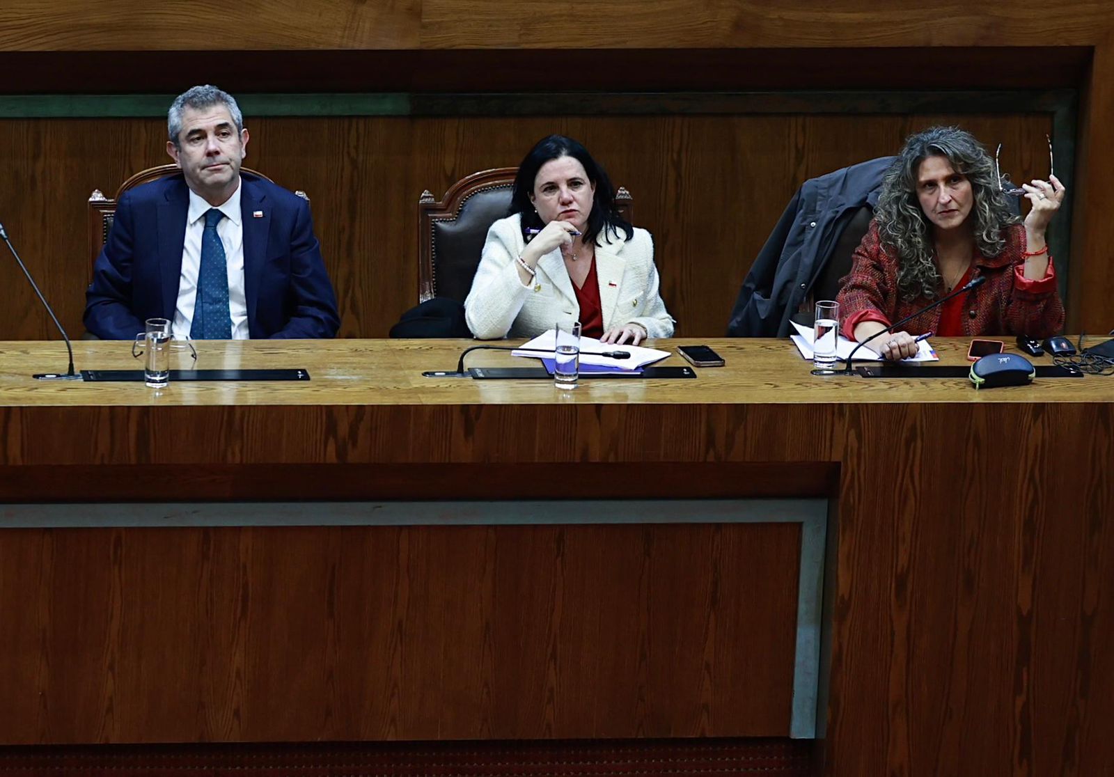 Manouchehri (PS) barre el suelo con la ministra Steinert tras exponer plan de seguridad en la Cámara