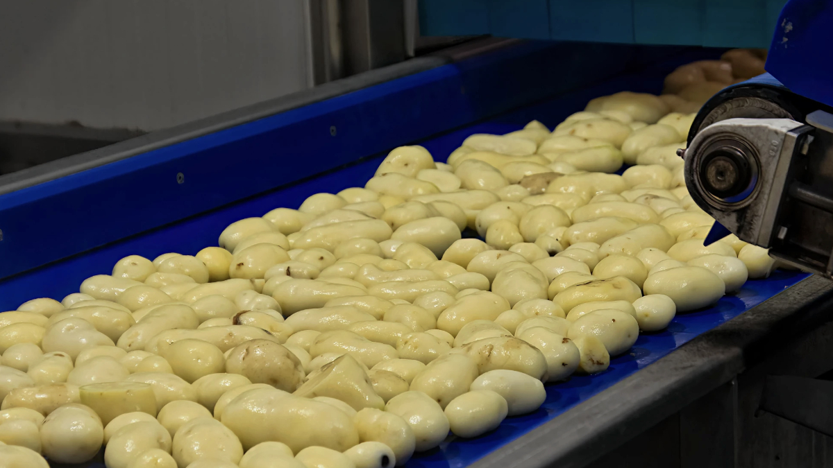¿Cuánta agua hay en detrás de un paquete de papas fritas? La cuenta invisible de los snacks