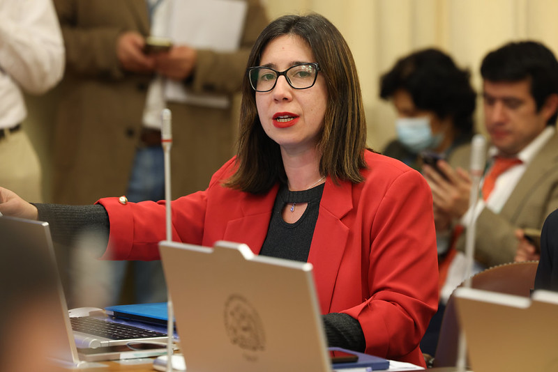 Diputada Tello llama a que posible tráfico de niños haitianos no alimente discursos de odio