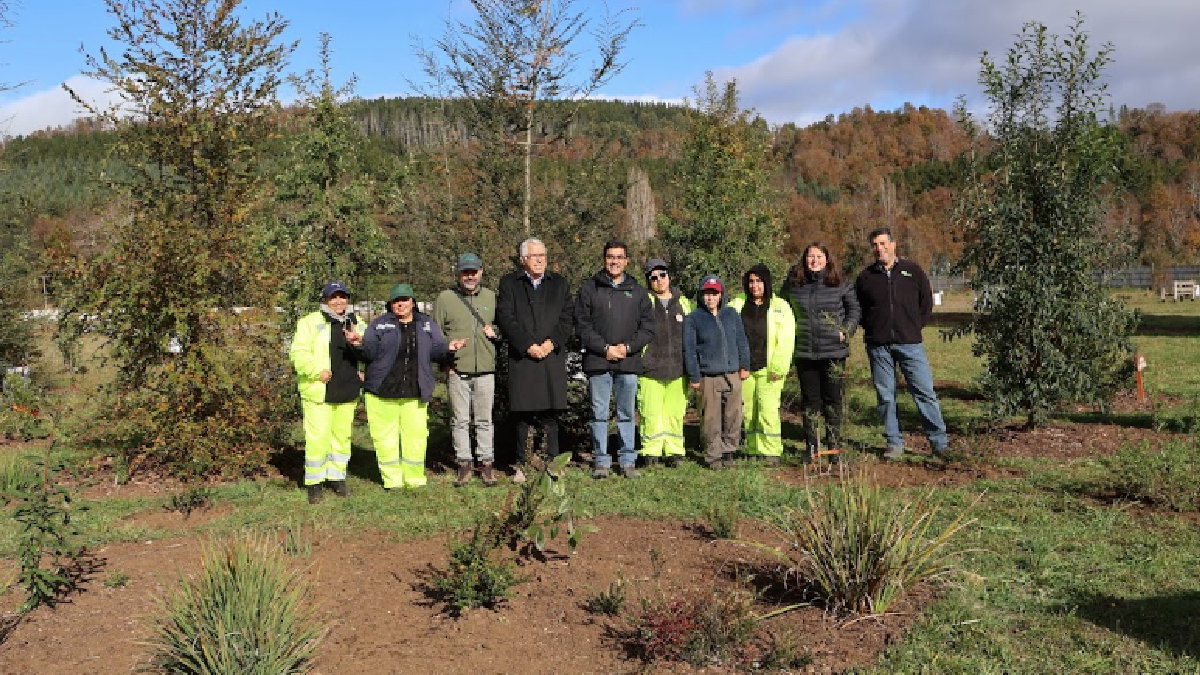 Creación y conservación de Parque Urbano en Malalhue, gracias a Programa de Emergencia de Empleo de CONAF