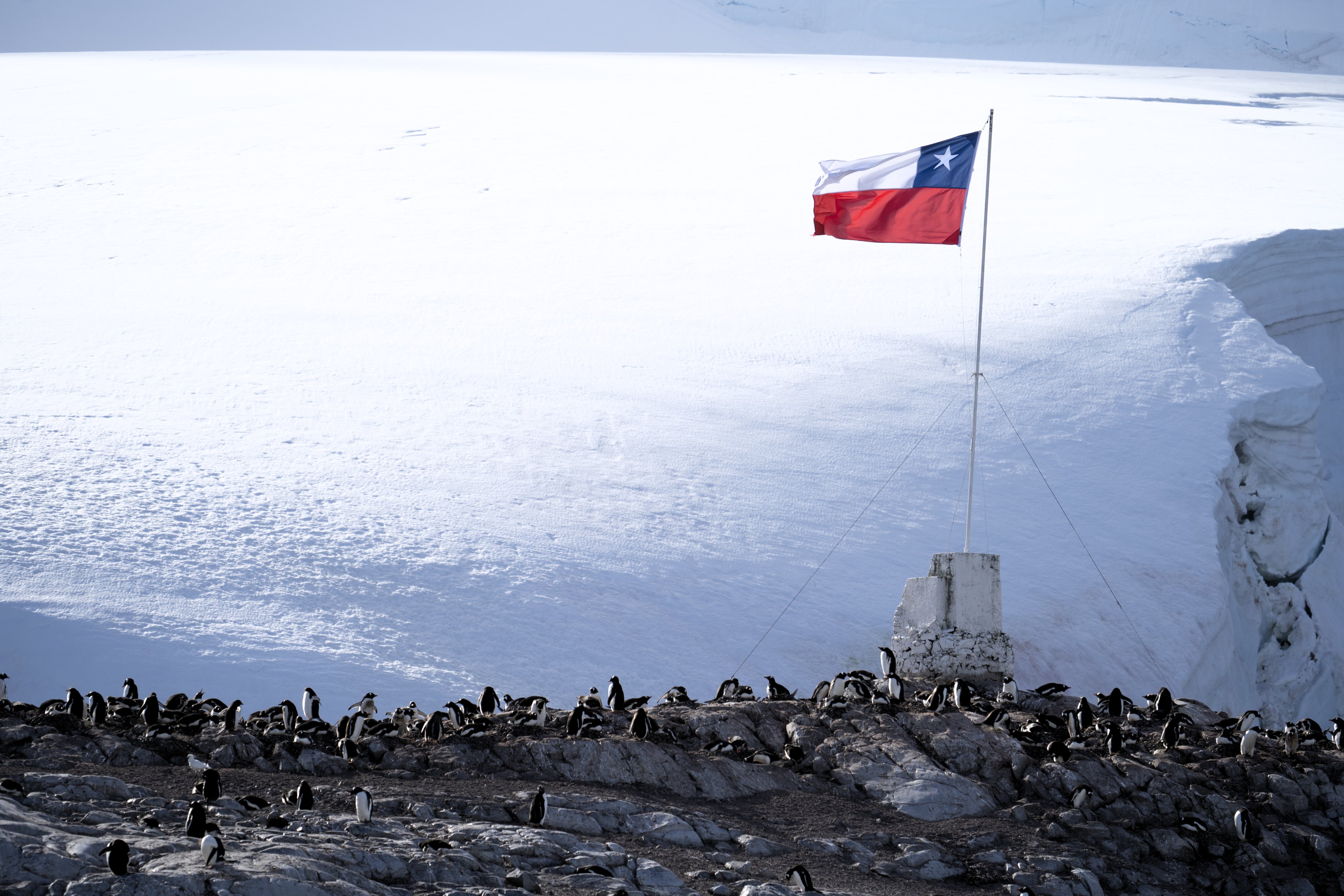 Senador Kusanovic celebra los 65 años del Tratado Antártico, pero llama a actualizar la política antártica y recuperar agenda territorialista