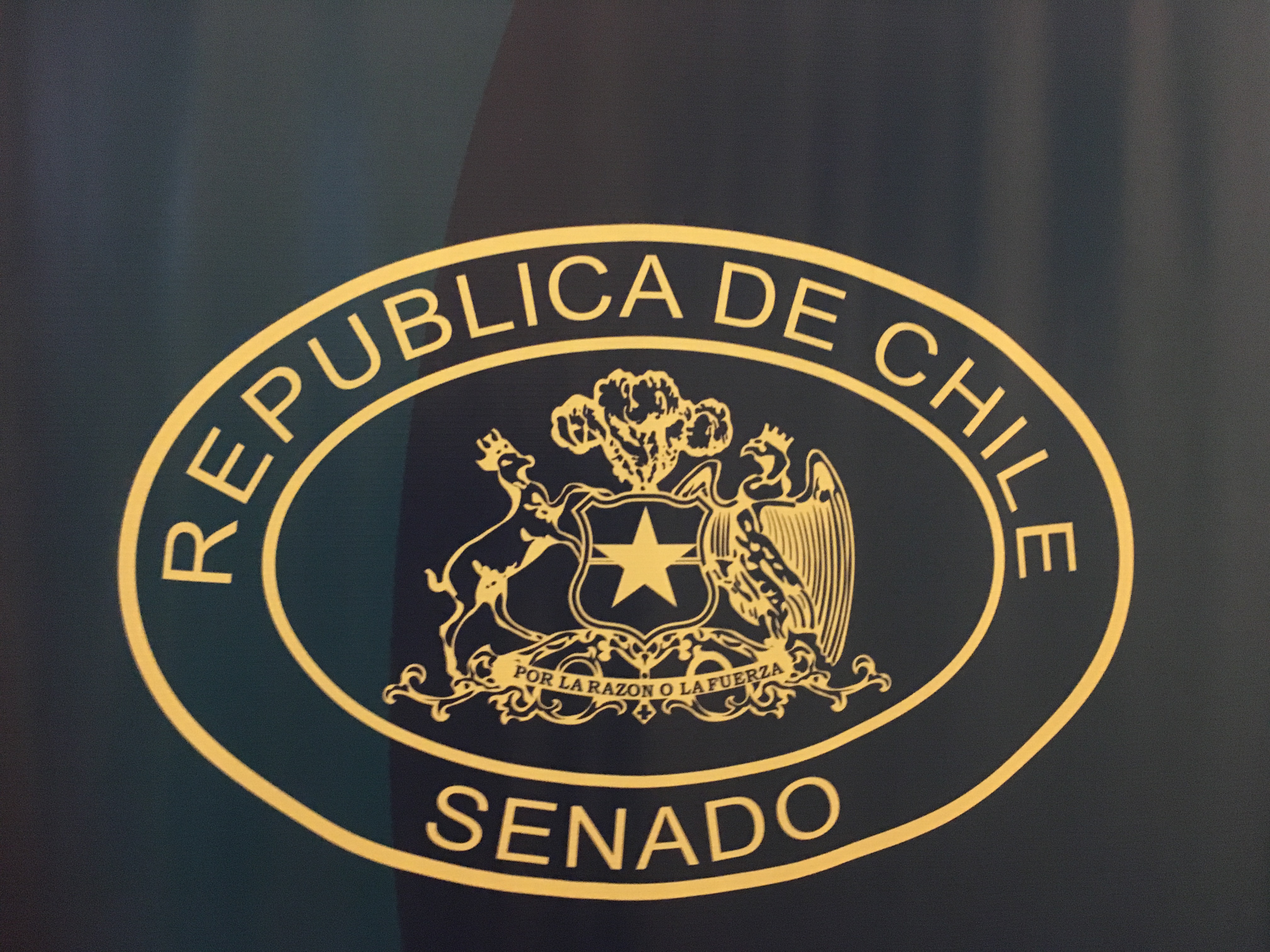 Senado realiza sesión especial por caso de niños haitianos y Gobierno convoca a reunión interministerial