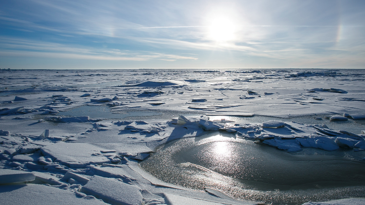 La actividad humana ha provocado el retroceso del glaciar que se derrite más rápidamente en la Antártica