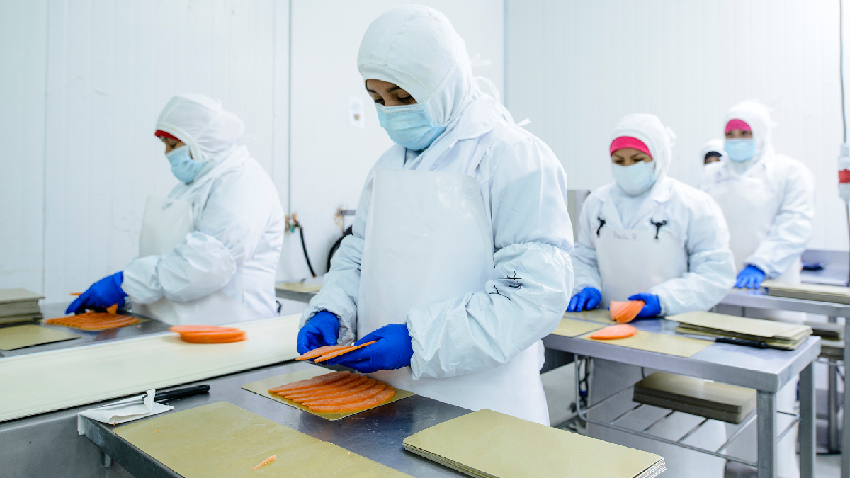 South Wind fortalece su competitividad internacional con una estrategia avanzada de inocuidad alimentaria