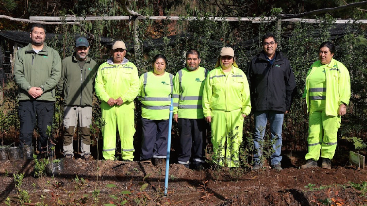 Programa de Emergencia de Empleo impulsa producción de plantas nativas y restauración ecológica en Los Ríos