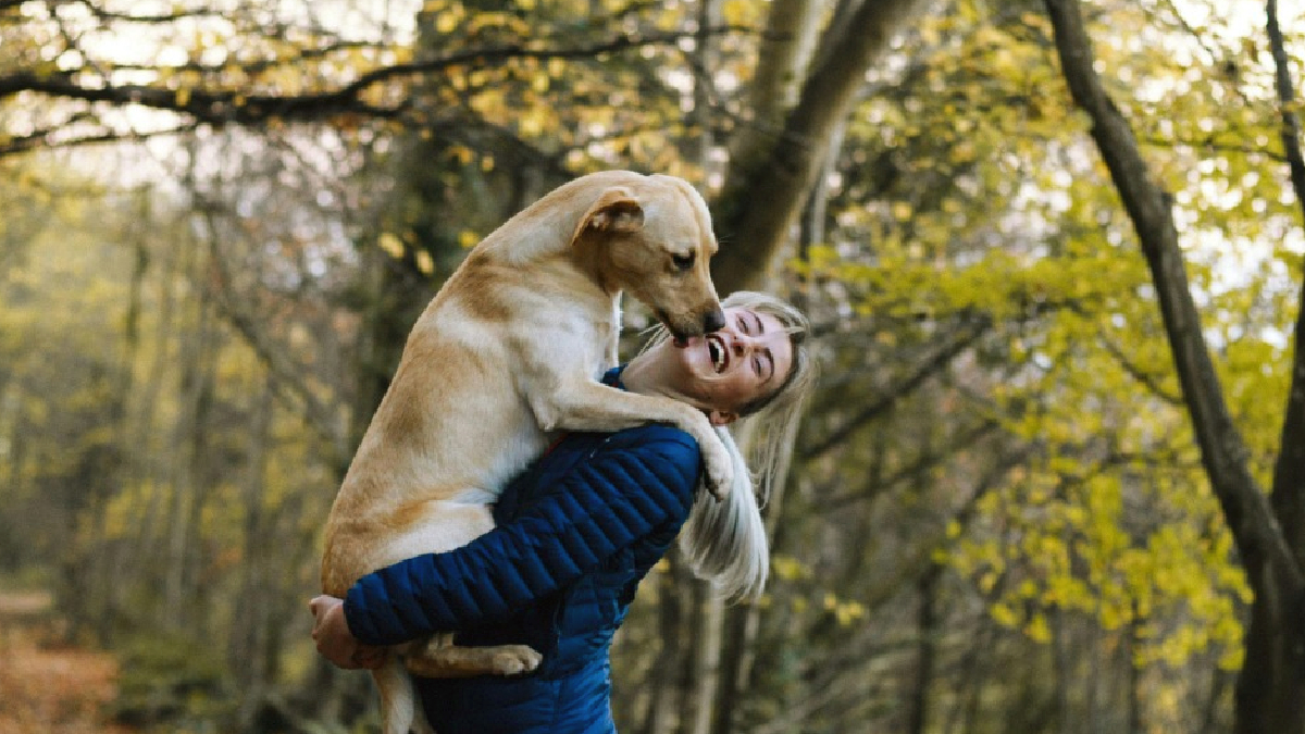 Expertos llaman a fomentar la adopción responsable en Chile