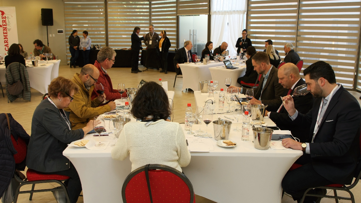 Carmenère al Mundo 2026: siguen abiertas inscripciones anticipadas