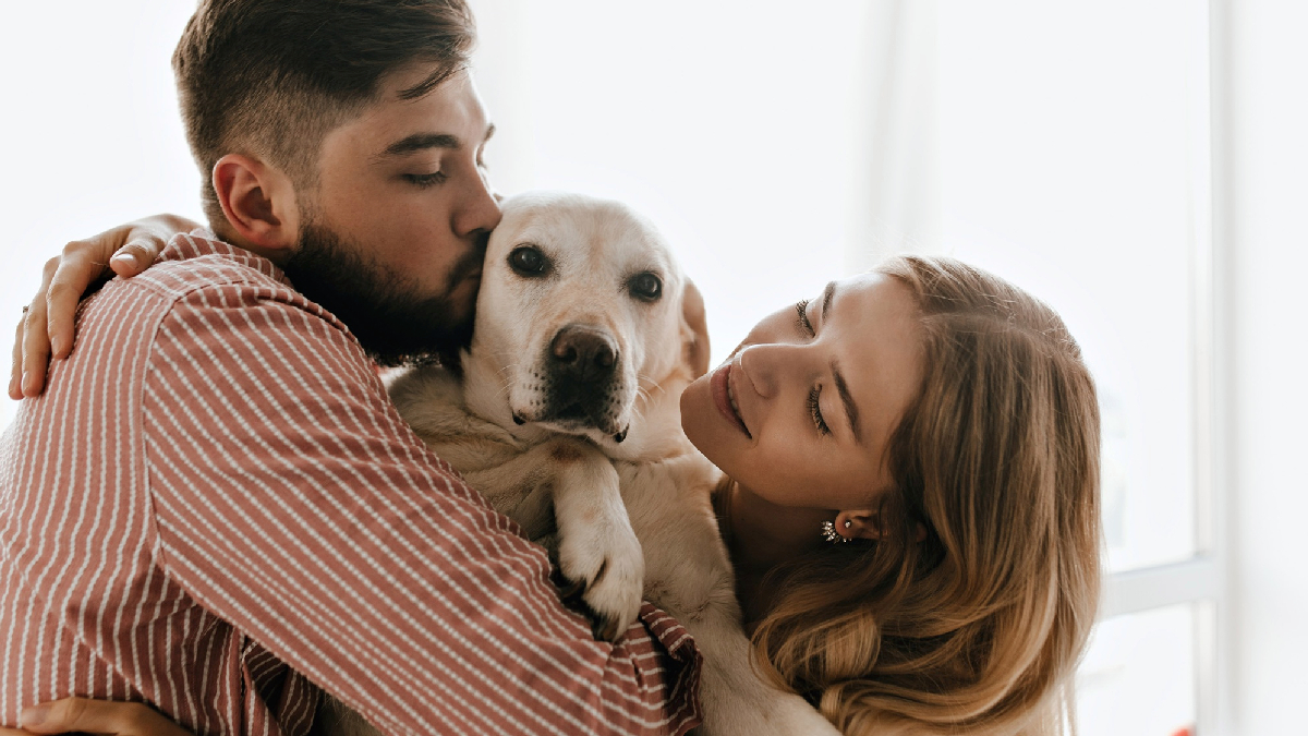 Los parásitos siguen siendo una de las principales amenazas para la salud de los perros en Chile