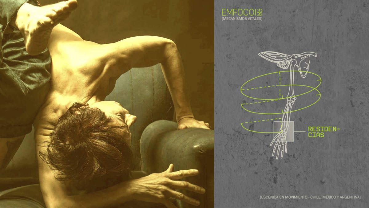 Ciclo de residencias del Programa EMFOCO 2026 apuesta por la exploración y creación en danza contemporánea desde el Biobío