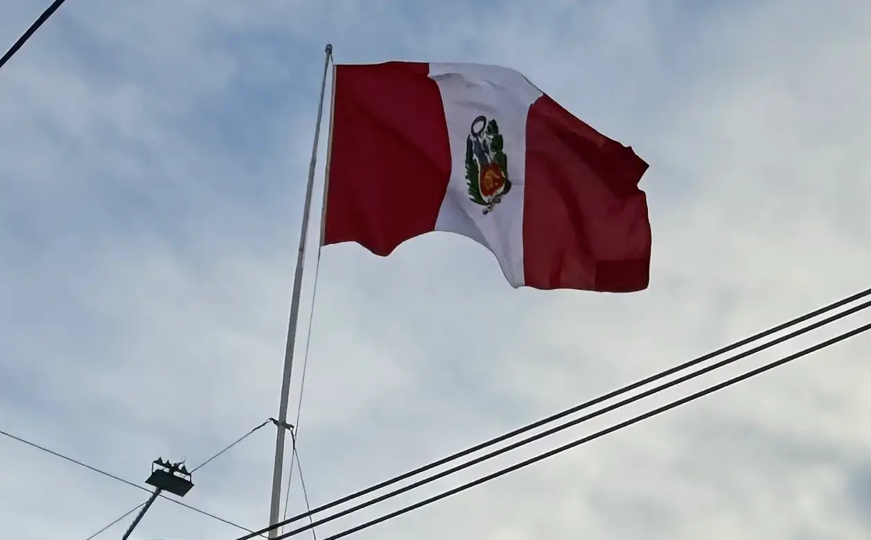 Infartante resultado en Perú: Sánchez 50,008%  - Fujimori 49,992%