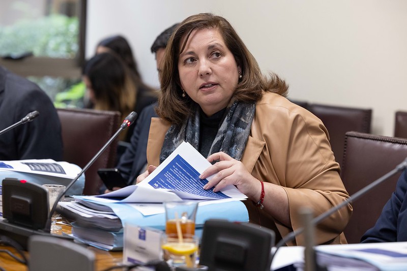 Senadora Vodanovic responde a Cicardini y niega negociación a “espaldas” con Quiroz