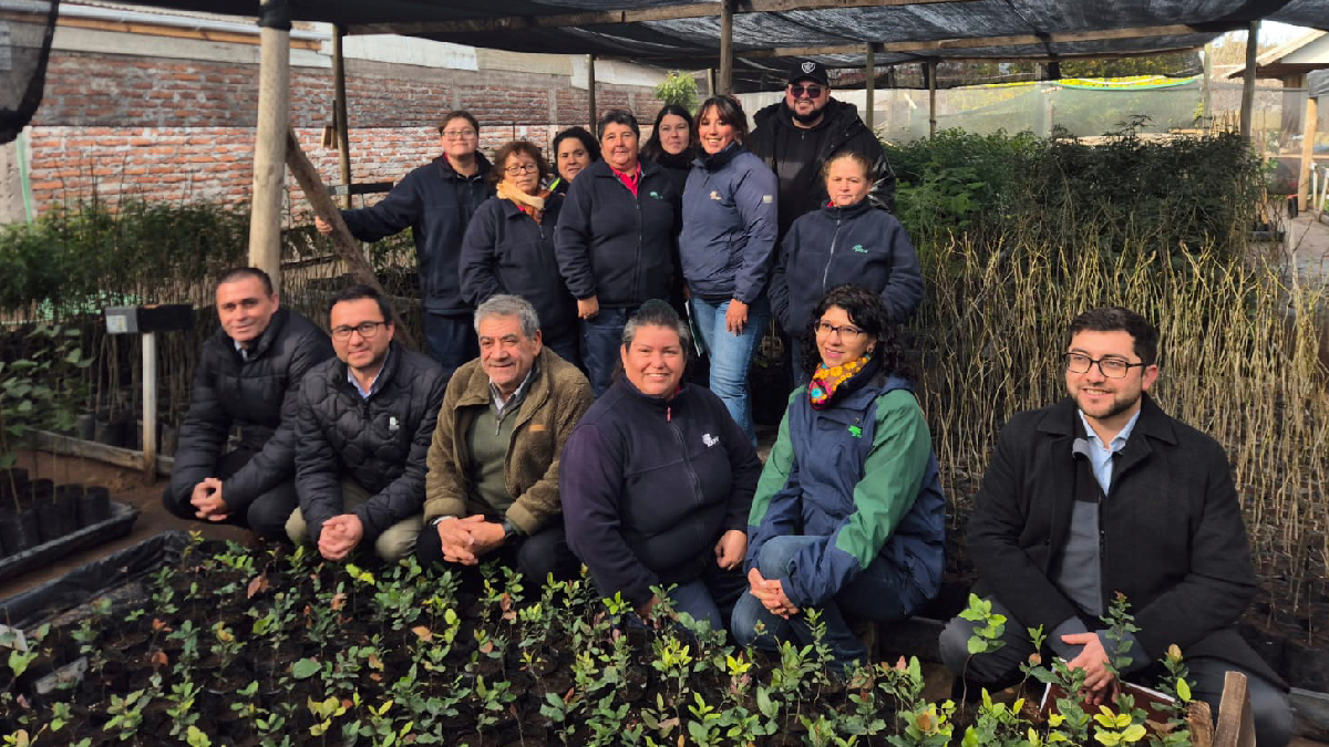 Programa de Emergencia de Empleo de CONAF entregó 2.800 árboles nativos y ornamentales a siete comunas de la región de O’Higgins