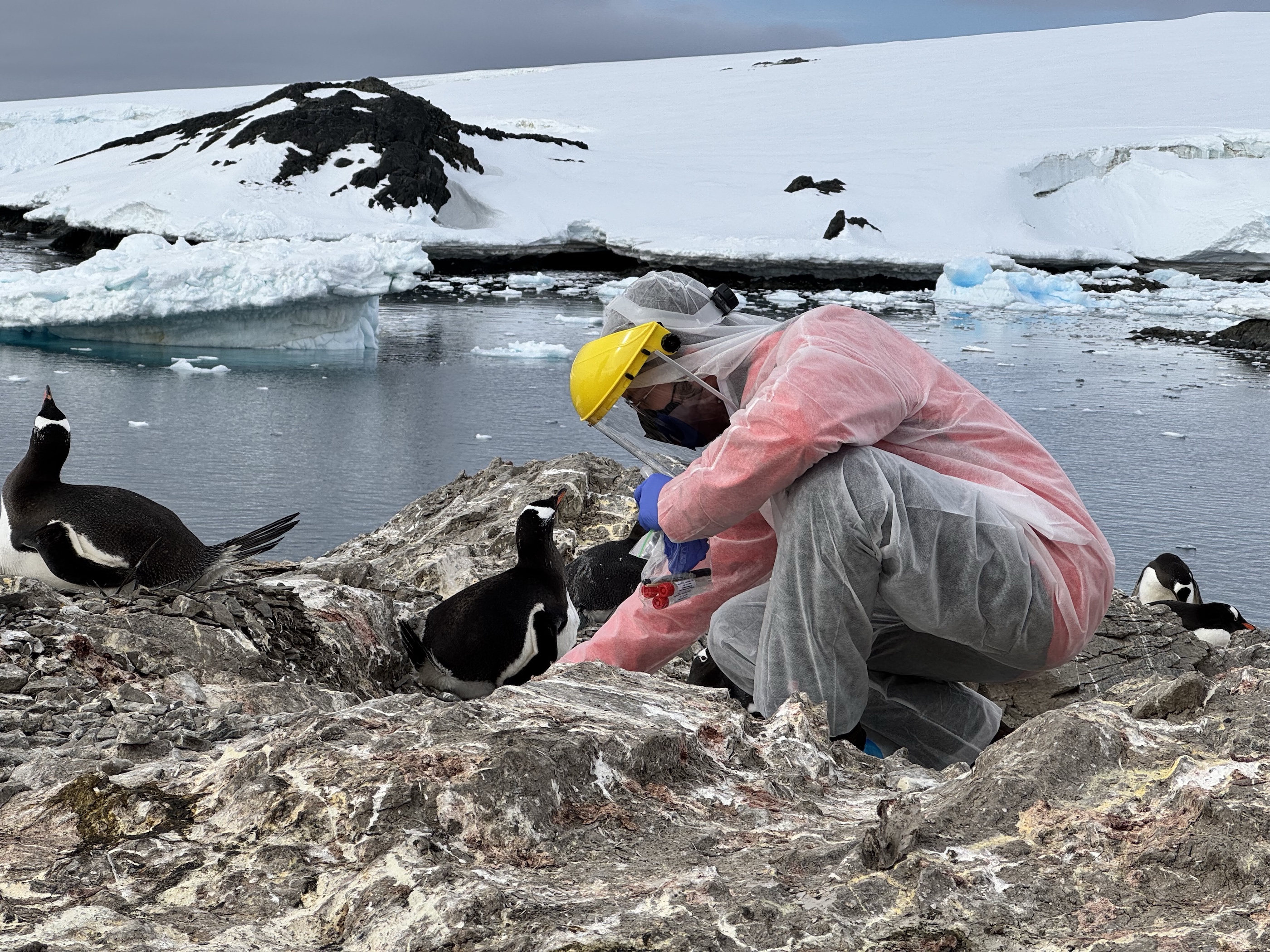 Acuerdo de entendimiento Chile-Corea sobre la Antártica busca impulsar la investigación científica