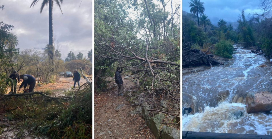 CONAF extiende el cierre preventivo de las áreas protegidas de la región de Valparaíso hasta el 27 de julio