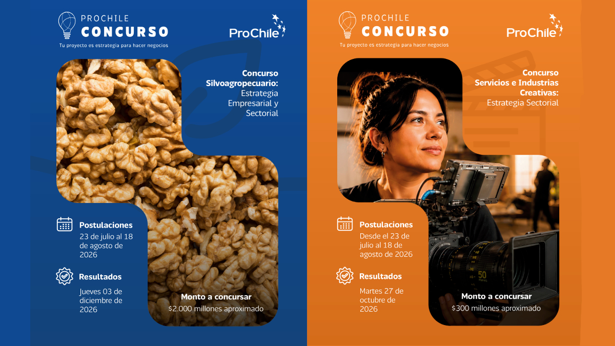 ProChile invita a empresas y gremios de Los Lagos a participar en la convocatoria de Concursos 2027
